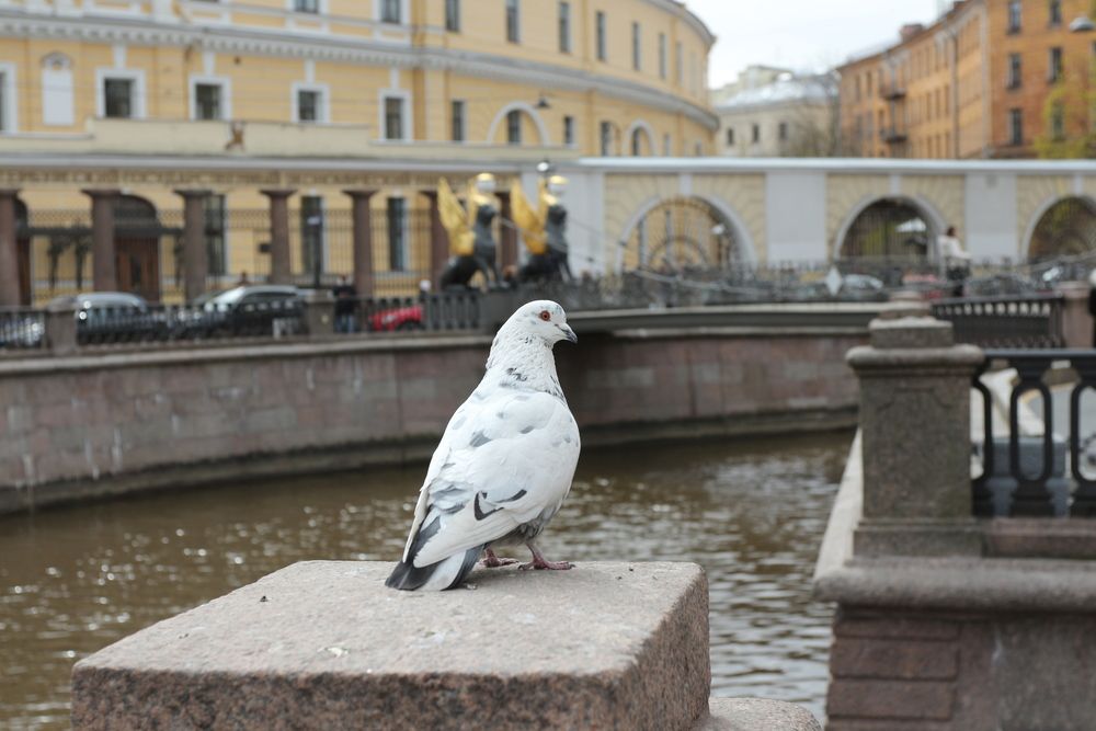 Photograph by Андрей Безгин