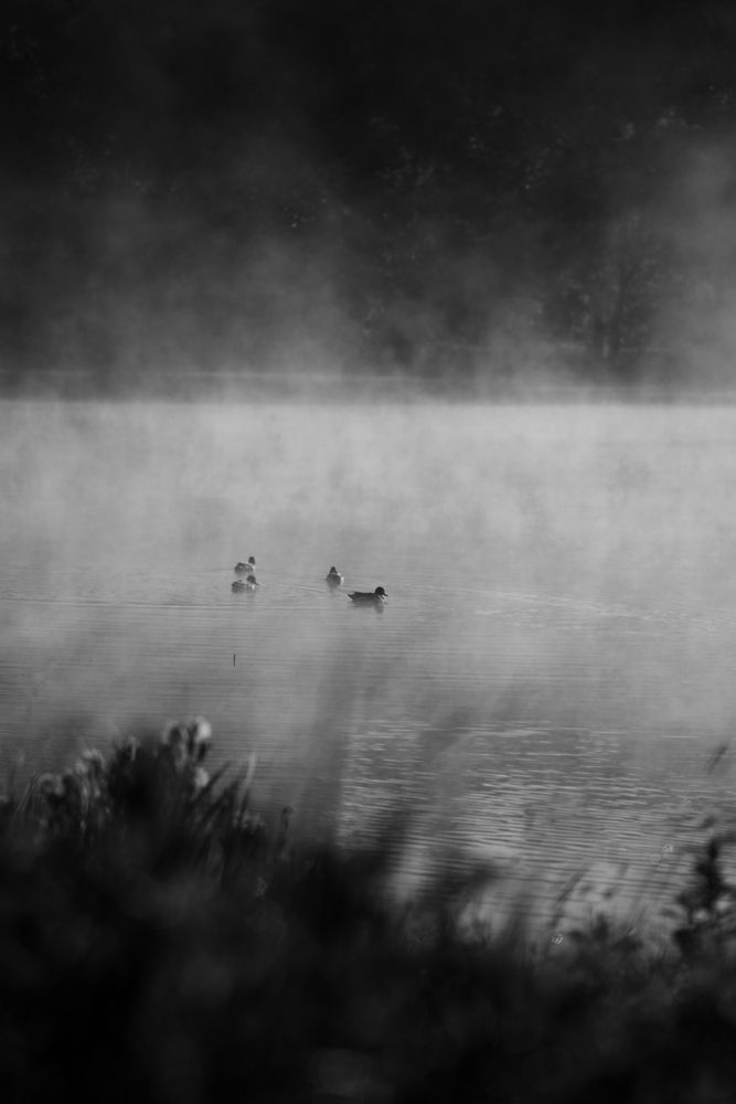 Photograph by Olesya Vladimirova