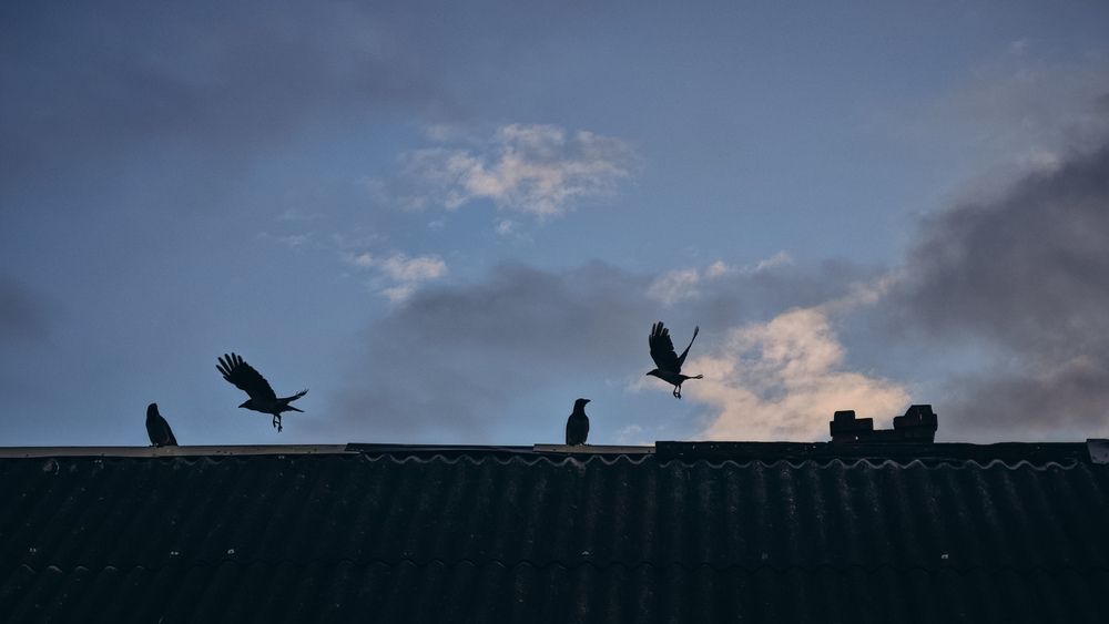 Photograph by Анна Лисина