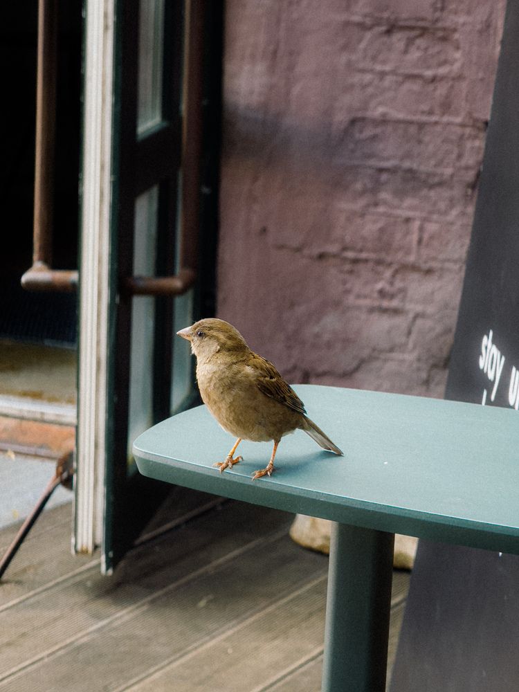Photograph by Elizabeth Barkovskaya