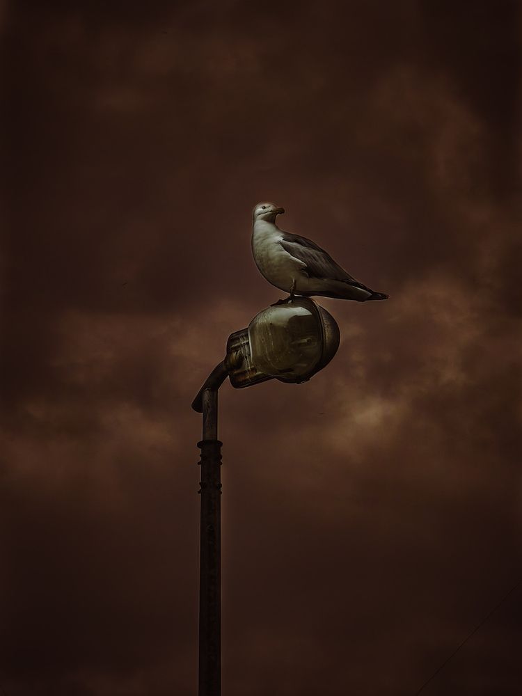 Photograph by Александр