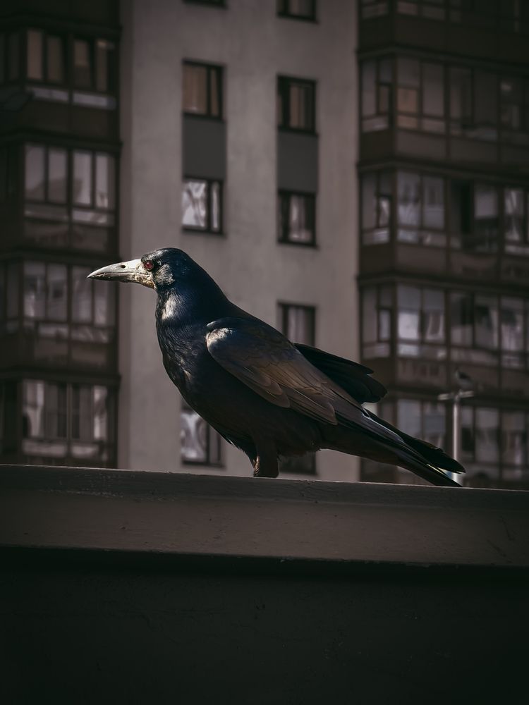 Photograph by Александр