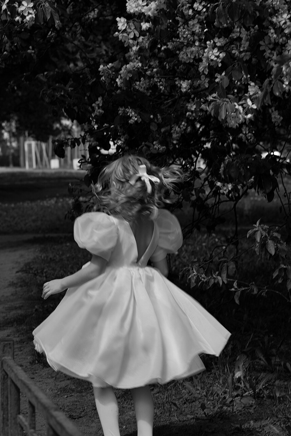 Photo #13695293