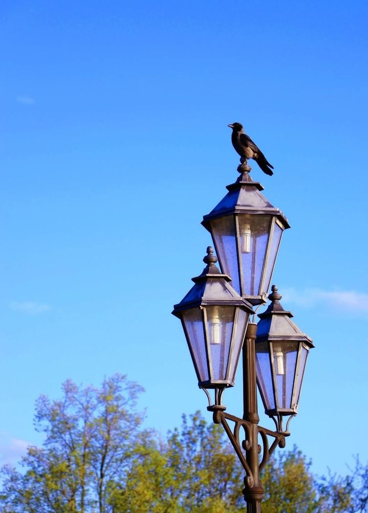 Photograph by Ирада Кузло