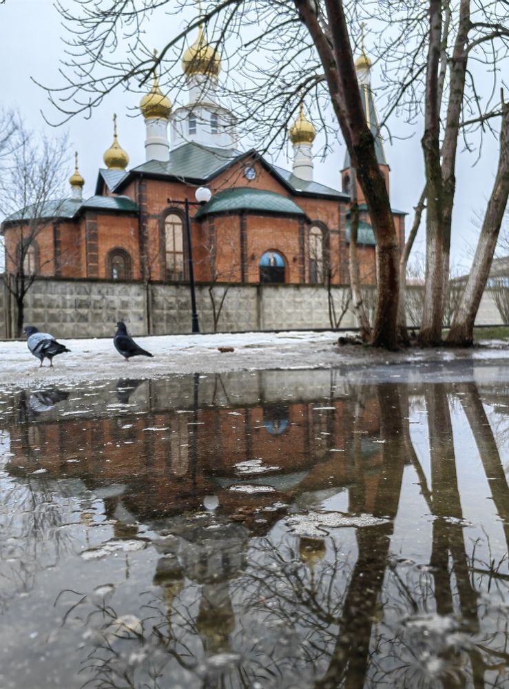 Photograph by Ульяна Кузьмина