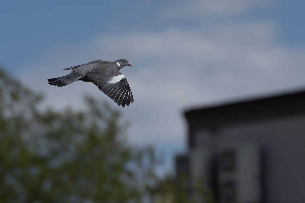 Photograph by Александр Соловьев