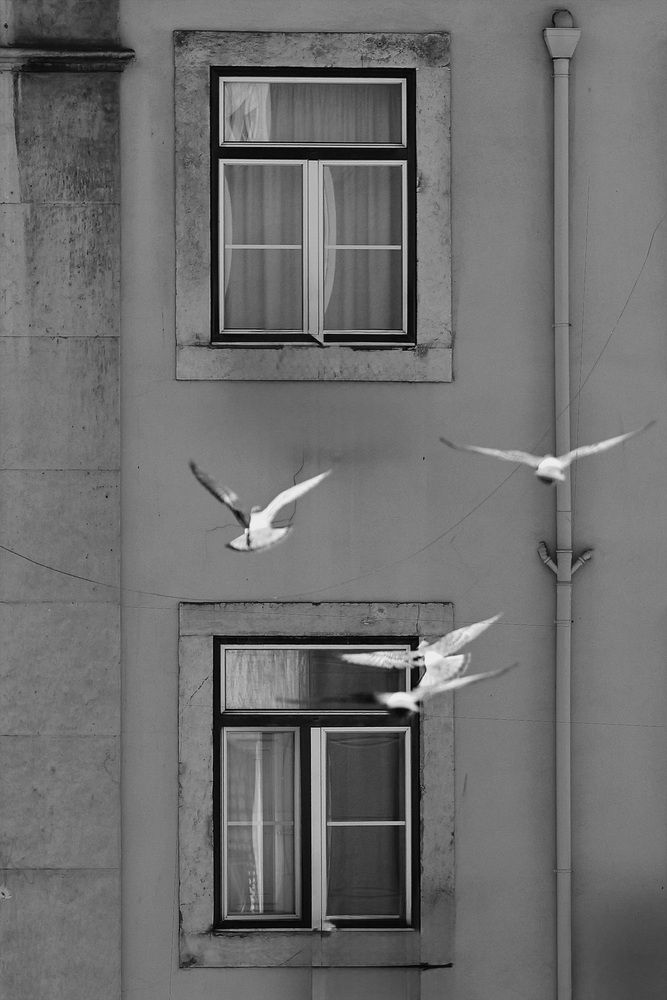 Photograph by Halyna Khomyk