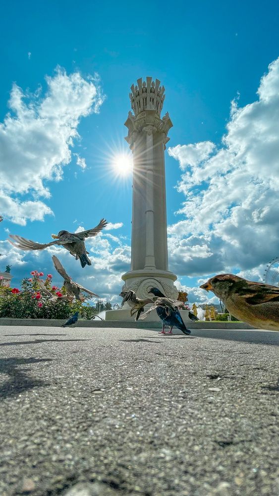 Photograph by Дмитрий Соколов