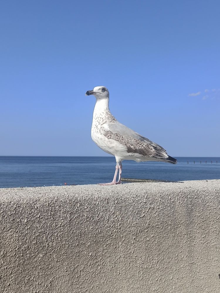 Photograph by Tanya B