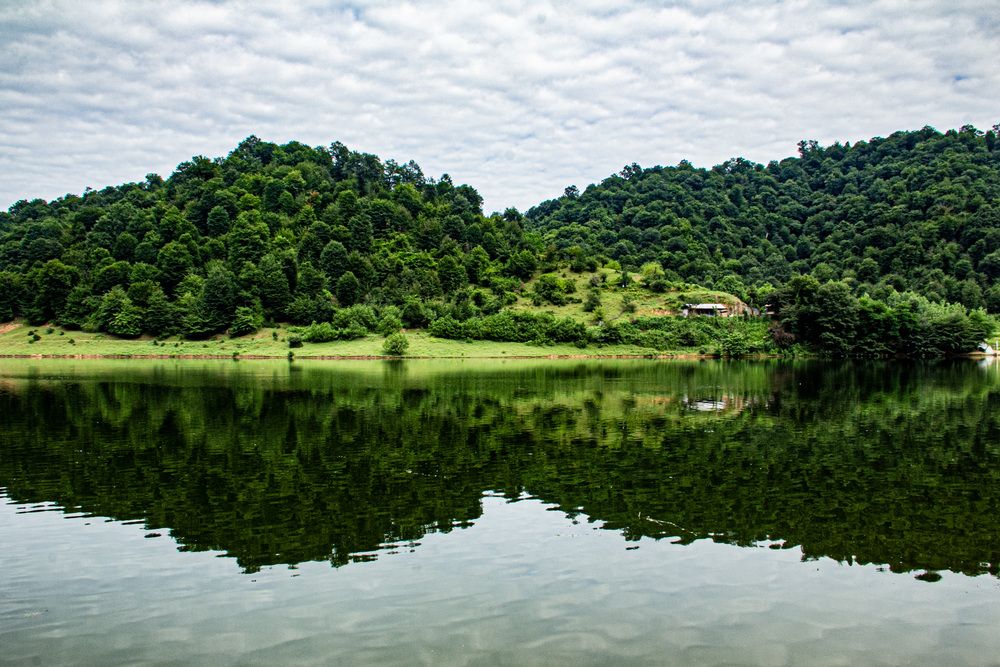 Photograph by 