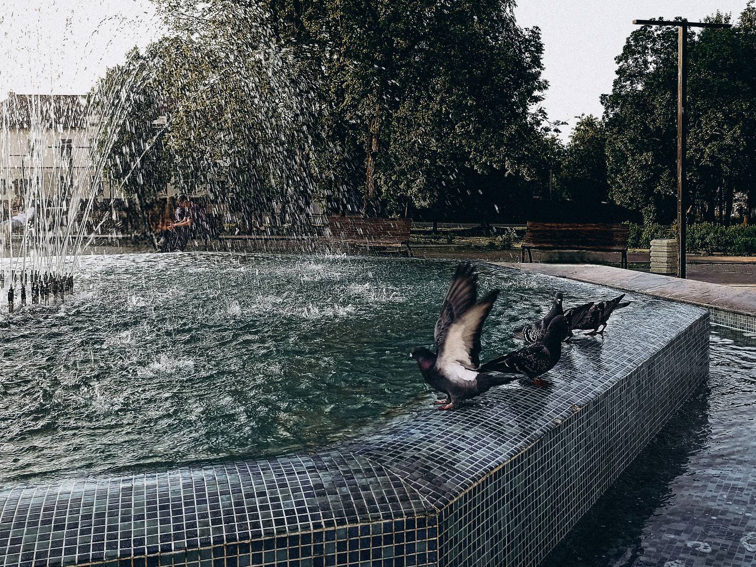 Photo #13695466