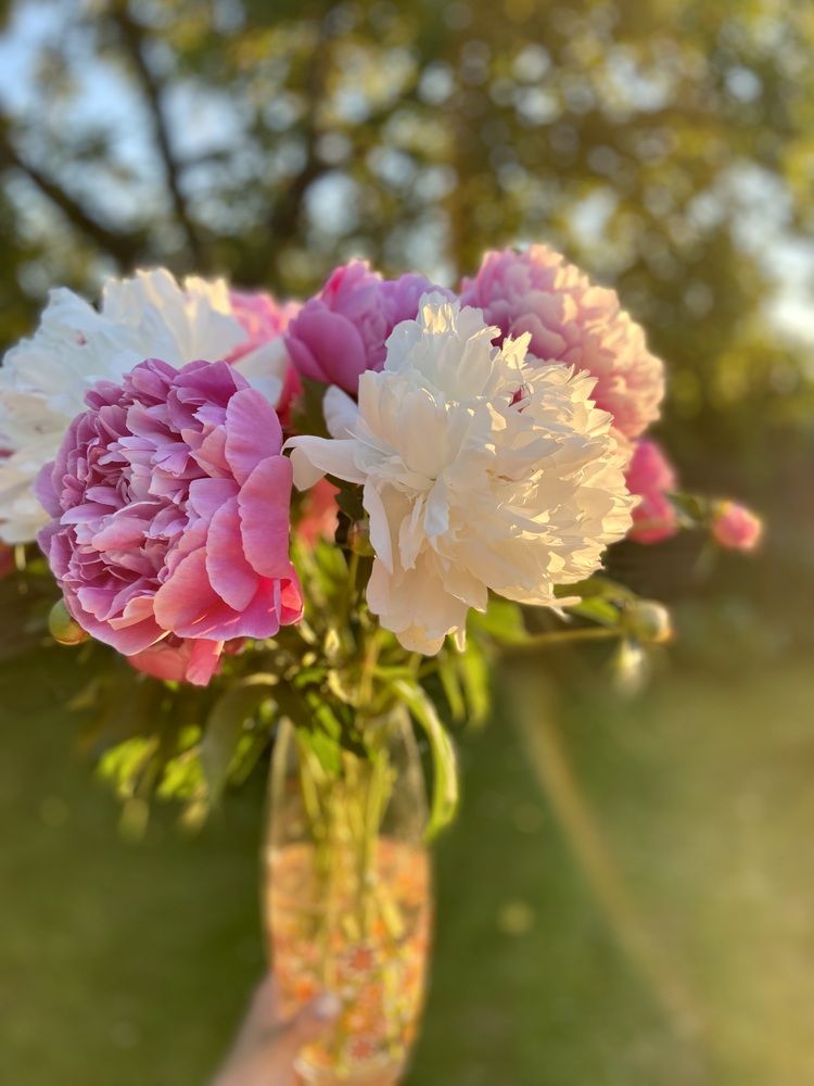 Photograph by Ольга Куркова
