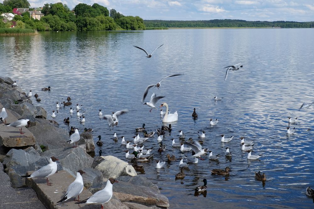Photograph by Лариса Андреева