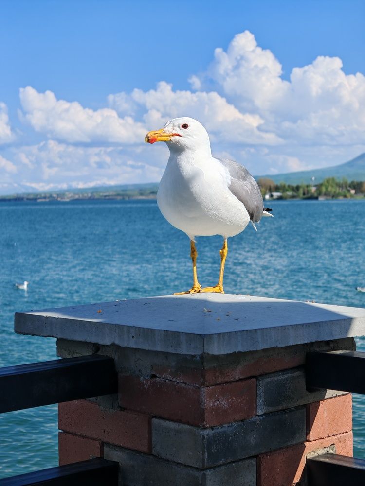 Photograph by Юлия Есина