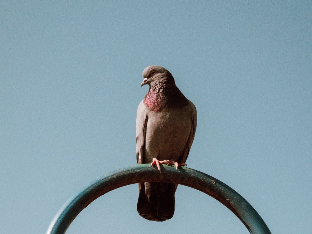 Photograph by Екатерина Сенько