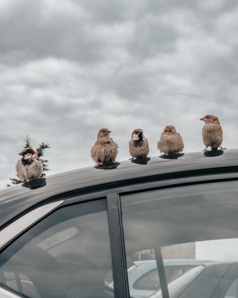Photograph by Екатерина Сенько