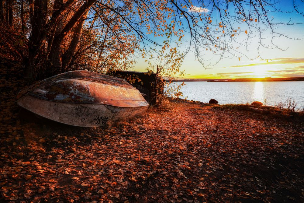 Photograph by Алексей Голубев