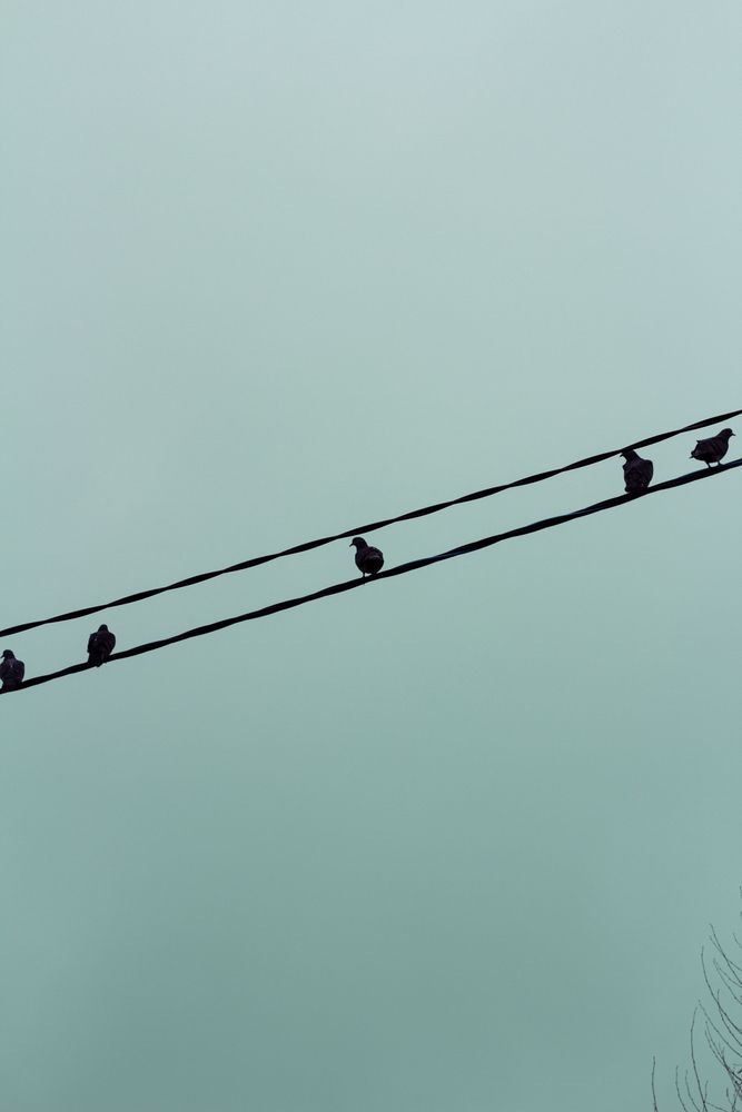 Photograph by Любовь Должикова