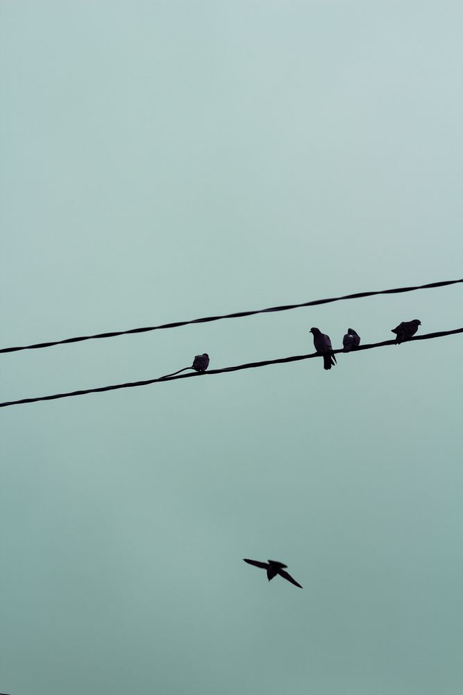 Photograph by Любовь Должикова