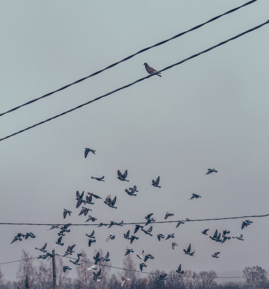 Photograph by Любовь Должикова