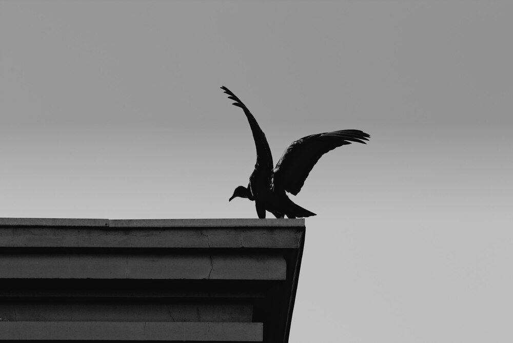 Photograph by Luciano Cardoso
