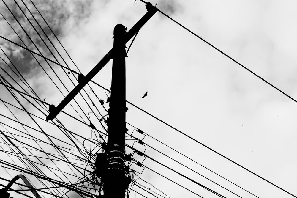 Photograph by Luciano Cardoso