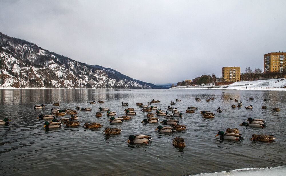 Photo #13695685