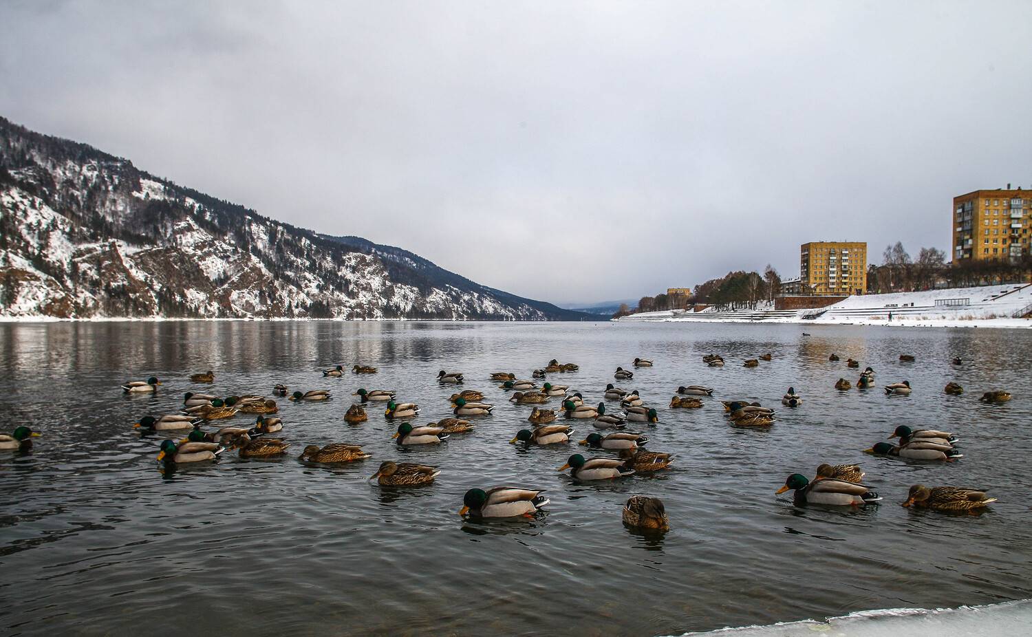 Photo #13695685