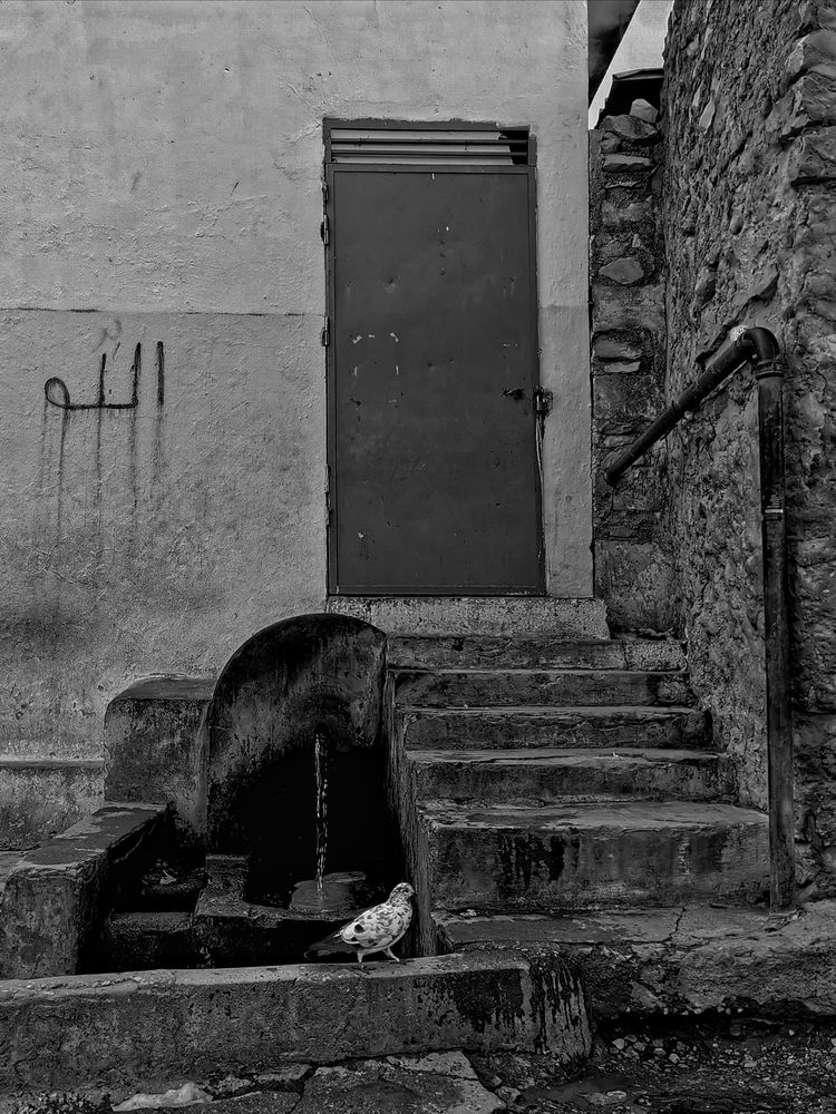 Фотография автора Azzeddine Memmou