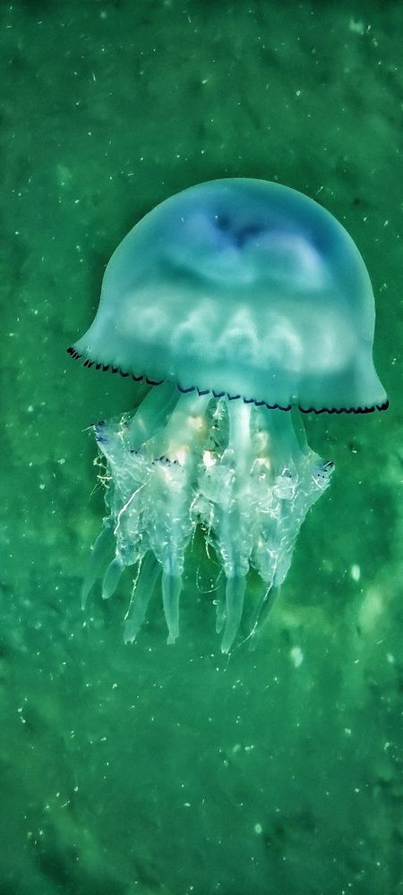 Photograph by Лейсан Авзалова