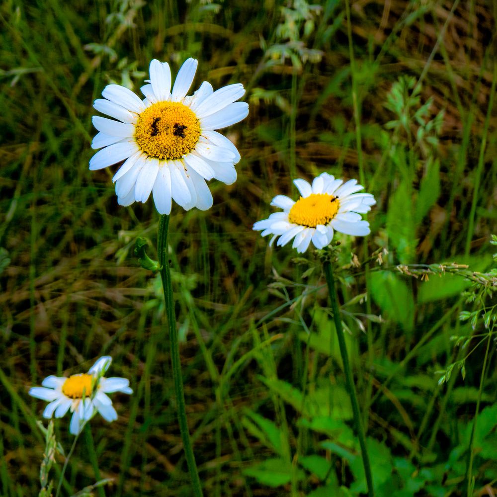 Photograph by Александр Вихарев