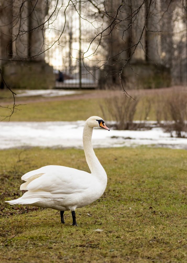Photograph by Валентина Куренкова