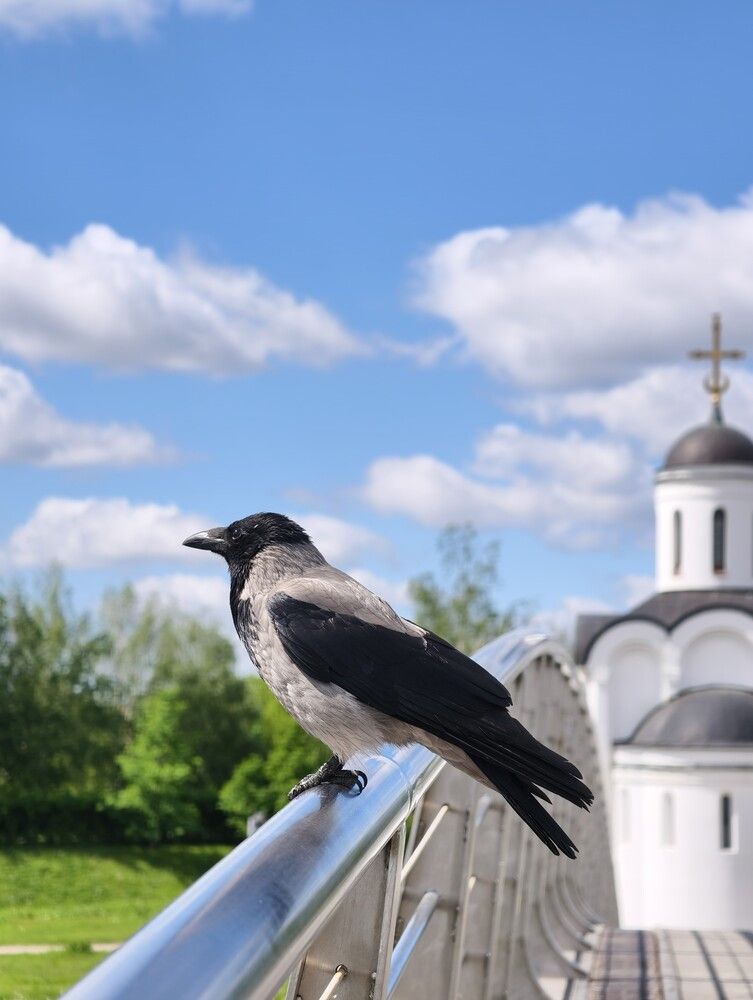 Photograph by Галина Бессуднова