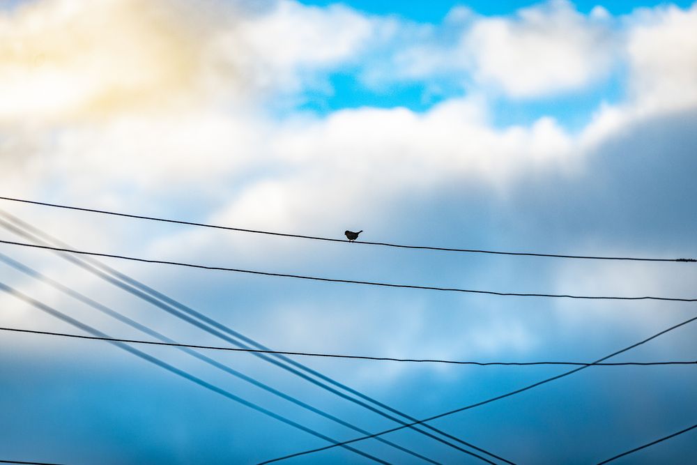 Photograph by ИРЕНА Цурпал