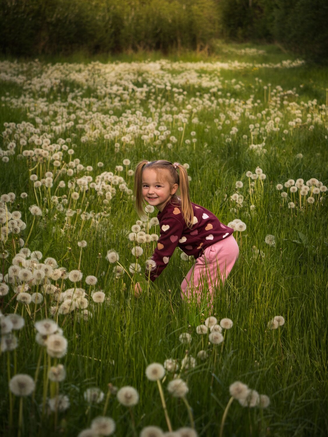 Photo #13695920