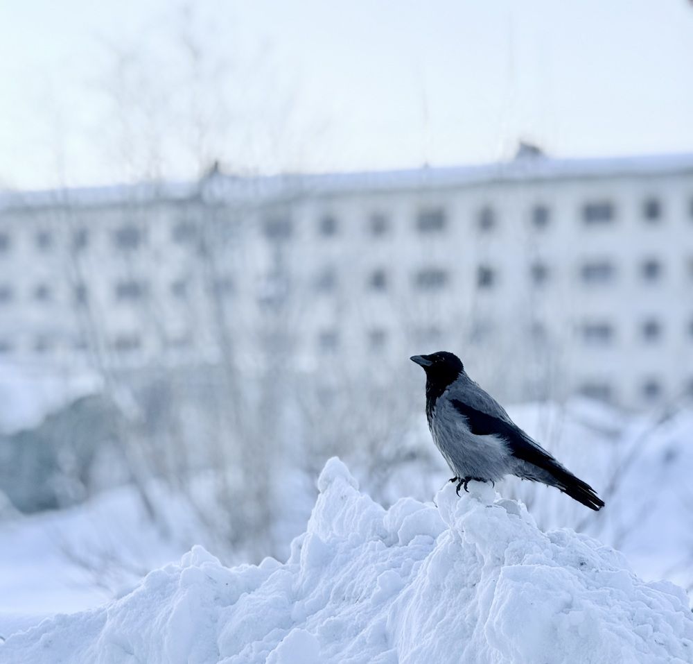 Photograph by Татьяна Раковская