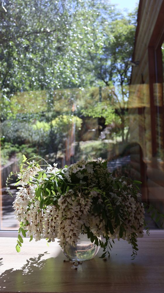 Photo #13696029