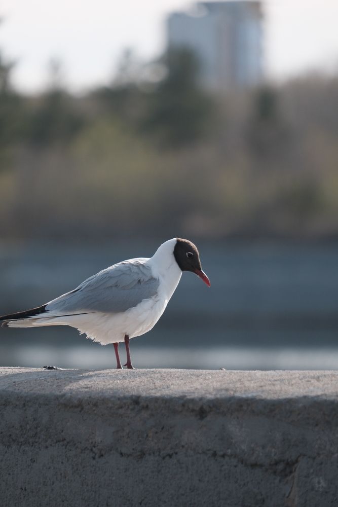 Photograph by Яна Истоцкая