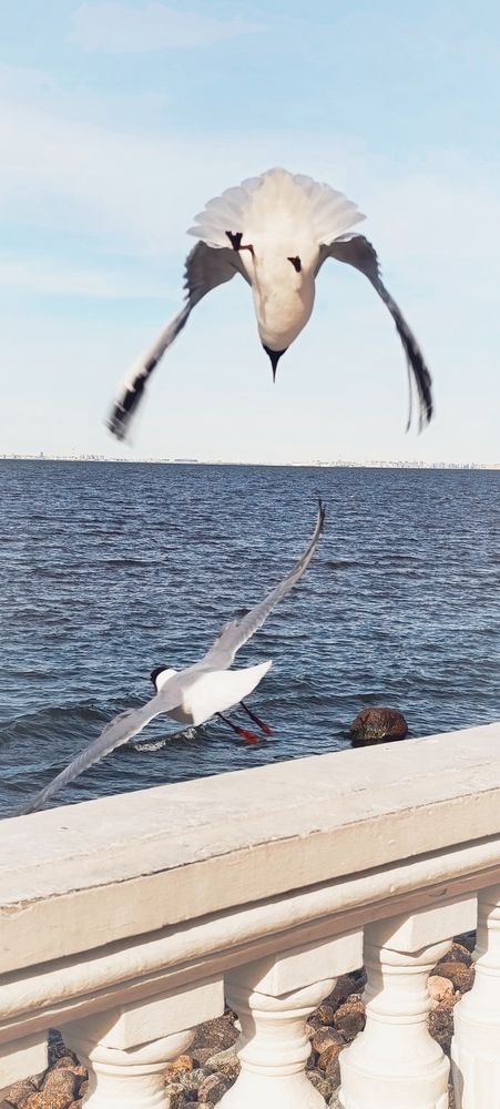 Photograph by Irina Prazdnikova