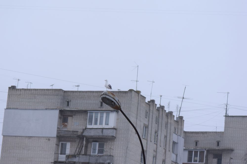 Photograph by Инна Голубева