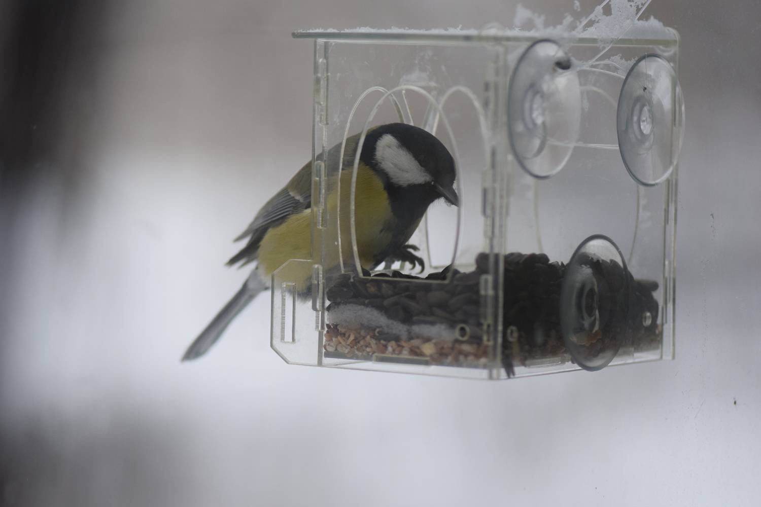 Photo #13696119