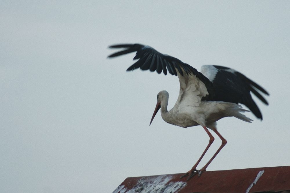 Photograph by Юля Комкина