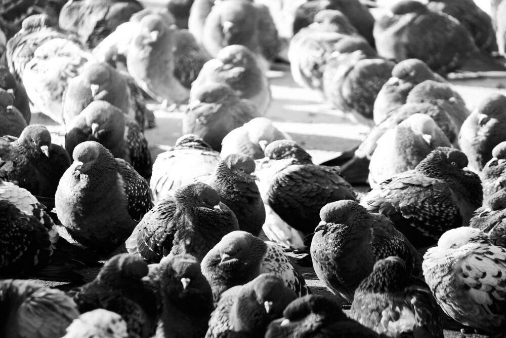 Photograph by Андрей Петренко