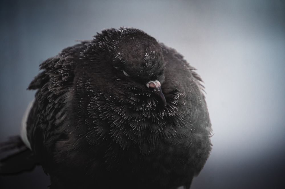 Photograph by Андрей Петренко