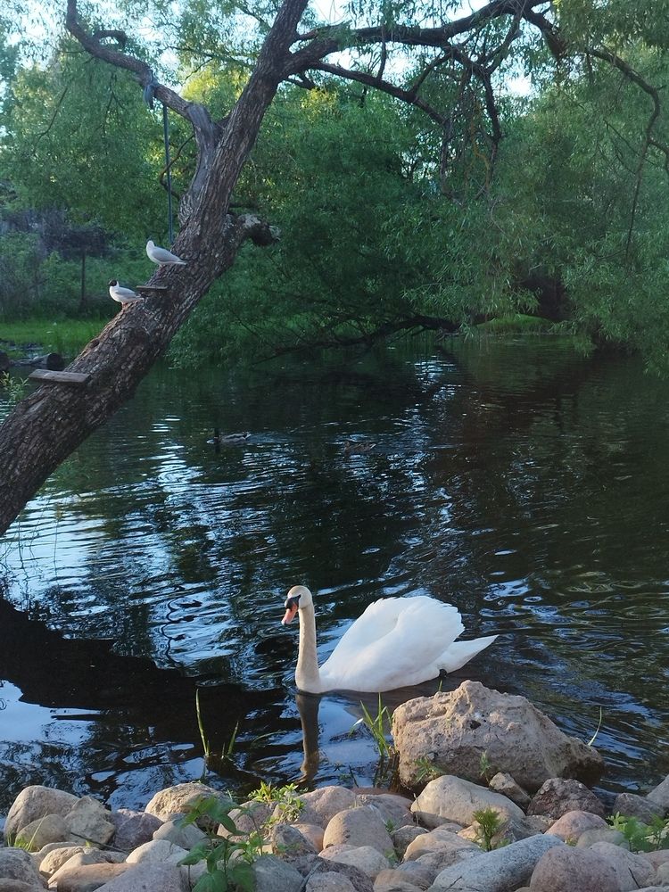 Photograph by Оксана Артимович