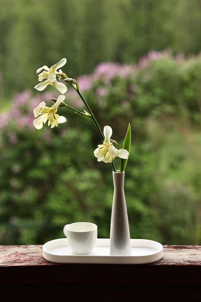 Photograph by Елена Одынец