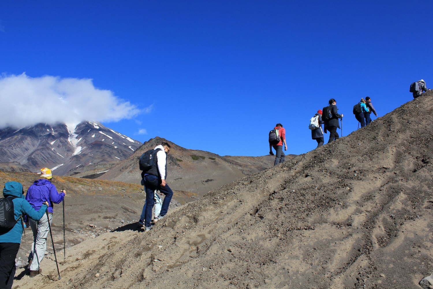 Photo #13696194