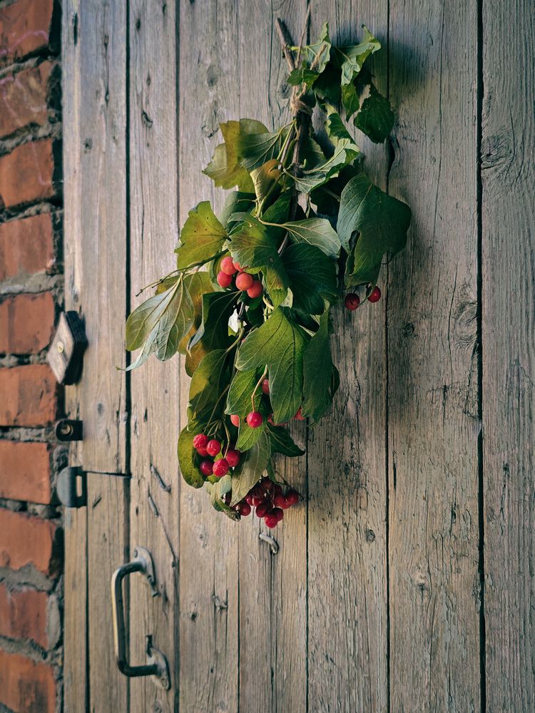 Photograph by Наталья Чурашова