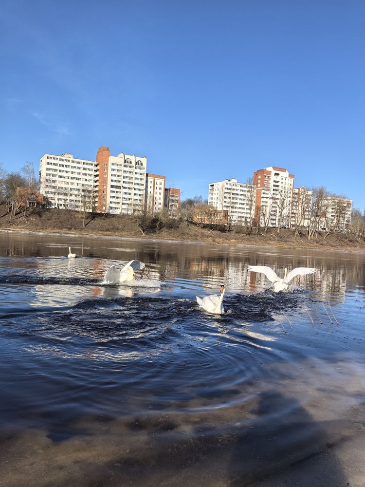 Photograph by Александр Сипаров