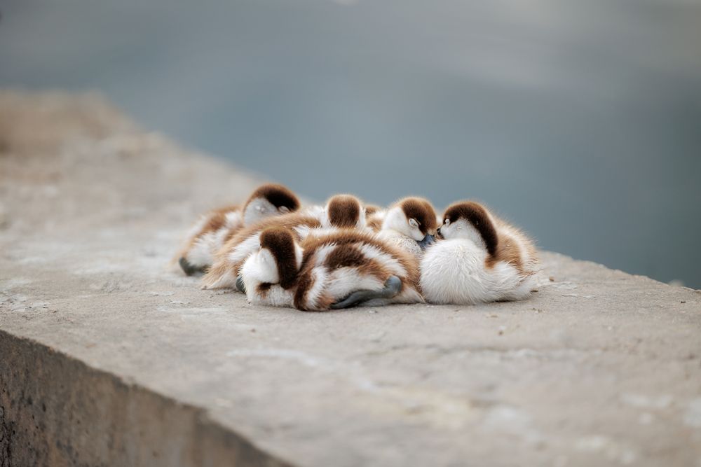 Photograph by Елена Самусенкова